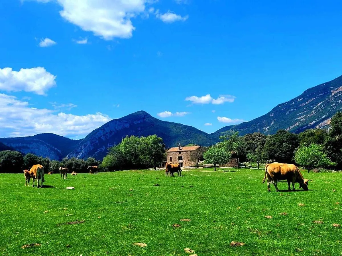 Casa en paraje natural único Hasta 25 personas racorural Villa Gerona
